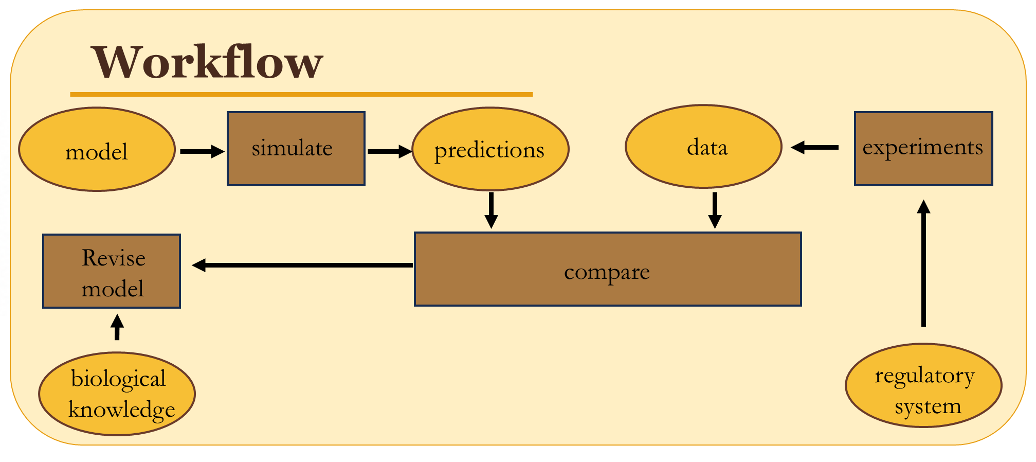 Iterative model and experiment workflow used by the Palma Lab